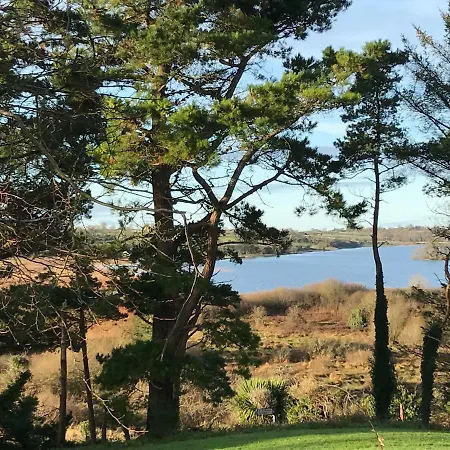 Mick's * Loughrea